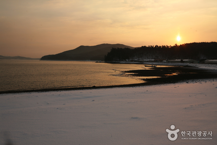 浅水湾(候鸟栖息地)천수만(철새도래지)