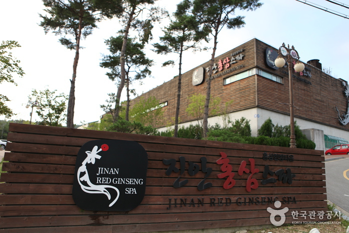 镇安红参SPA(진안홍삼스파)