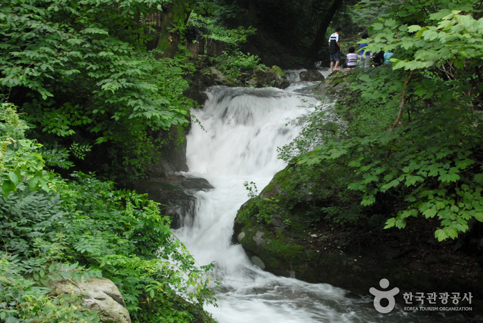 雞龍山國立公園(계룡산국립공원)