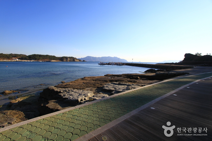 固城德明里恐龍與鳥類足印化石產地(고성 덕명리 공룡과 새발자국 화석산지) 固城德明里恐龍與鳥類足印化石產地(고성 덕명리 공룡과 새발자국 화석산지)