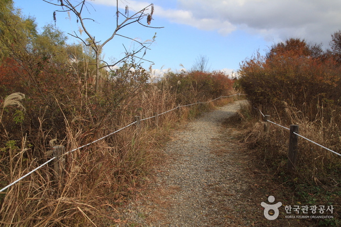 高德洞生態景觀保護區(고덕동 생태경관 보전지역) 高德洞生態景觀保護區(고덕동 생태경관 보전지역)