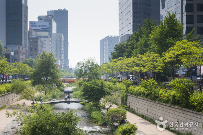 清溪川(청계천)