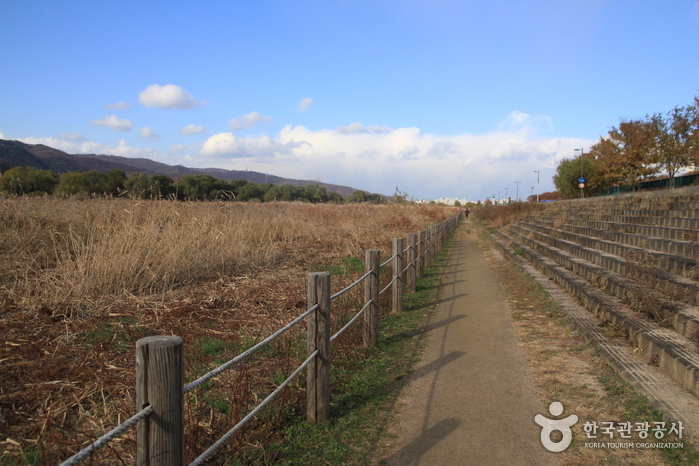 Amsa Ecological Park (암사생태공원)