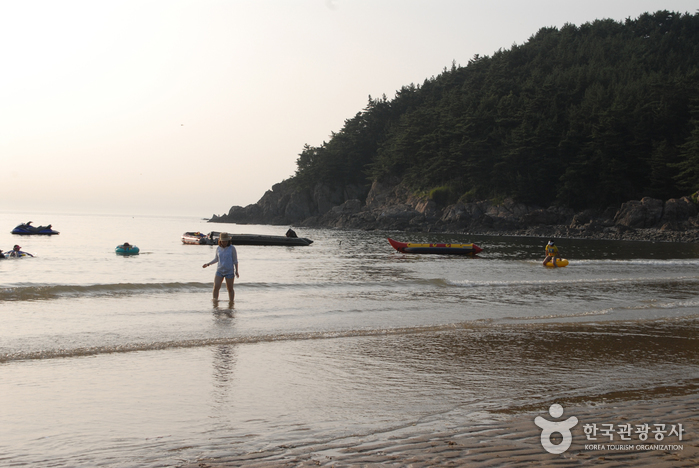 Baengnipo Beach (백리포해수욕장) Baengnipo Beach (백리포해수욕장)