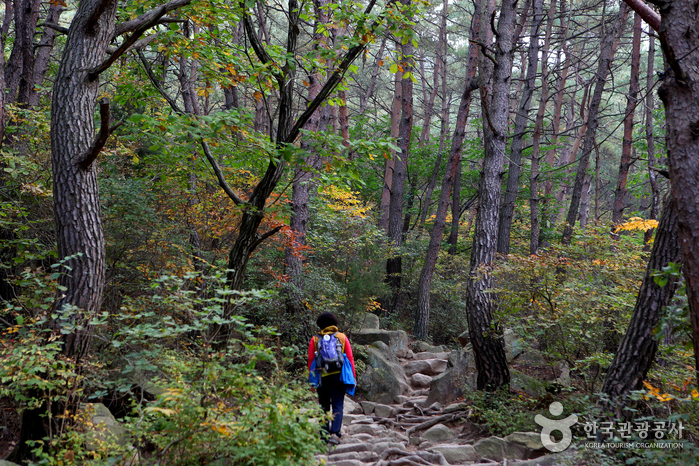 Mt. Namsan à Gyeongju (경주 남산)