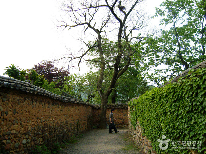 Village de Namsa Yedamchon (남사예담촌)