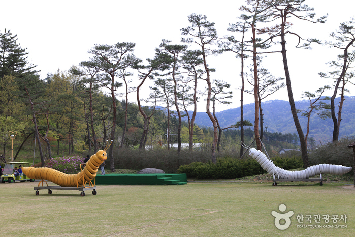 Le Parc écologique de Hampyeong (함평 자연생태공원)