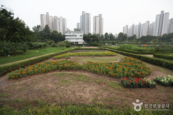 Parc de Jamsil Hangang (한강시민공원 잠실지구)