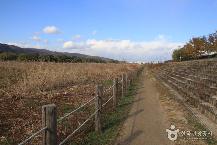 Parc écologique d'Amsadunchi (암사둔치생태공원)