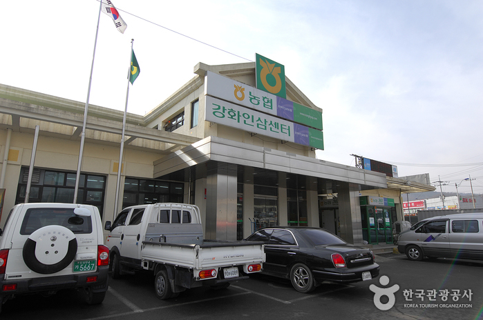 Le centre du Ginseng de Ganghwa (강화 인삼센터)