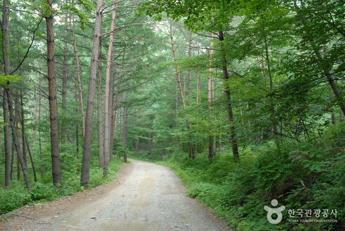 Montagne Cheongoksan (청옥산)