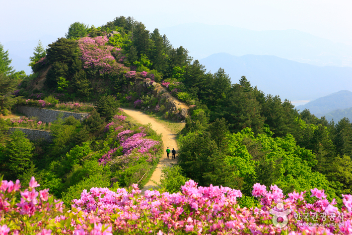 Pic Baraebong (바래봉)