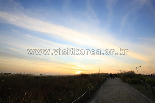 Fête du nouvel an du parc Haneul (하늘공원해맞이행사) Fête du nouvel an du parc Haneul (하늘공원해맞이행사)