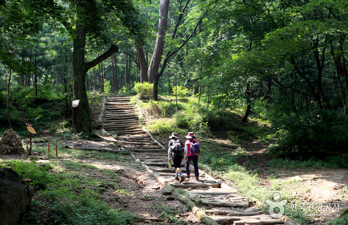 Vallée Baeksasil (백사실계곡)