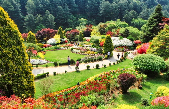 Festival du printemps au jardin du matin calme (아침고요수목원 봄나들이 봄꽃축제)