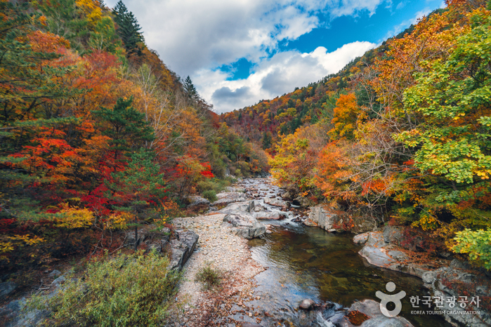 Parc National du Mt. Odaesan (오대산국립공원)