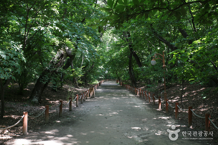 Parc Sangnim (상림공원)