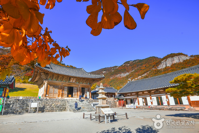 Temple Naesosa à Buan (내소사(부안))