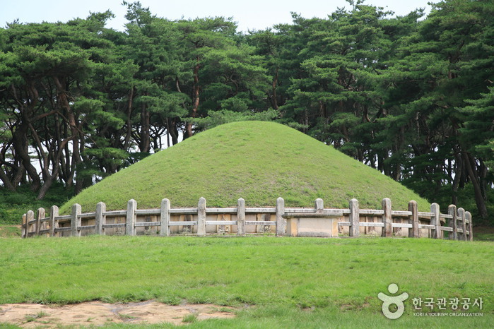 La tombe Gwaereung Gyeongju (경주 원성왕릉)