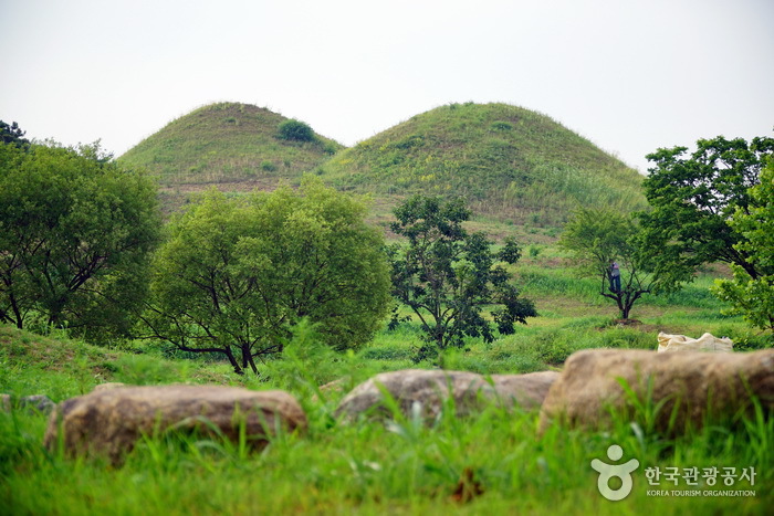 Parc des anciennes tombes de Bullo-dong (대구 불로동 고분군)