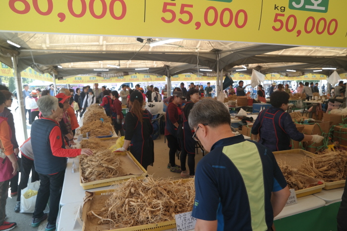 Festival du ginseng à Hongcheon (홍천 인삼한우명품축제 )