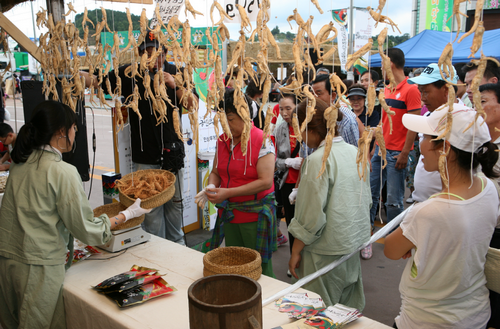 Geumsan le marché du Ginseng (금산 인삼약초시장) Geumsan le marché du Ginseng (금산 인삼약초시장)