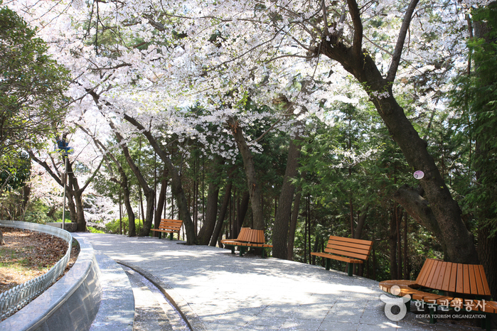 Parc Jehwangsan (제황산공원)