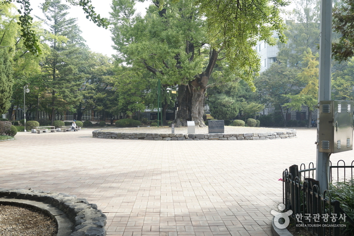 Parc Jungang à Cheongju (청주 중앙공원)