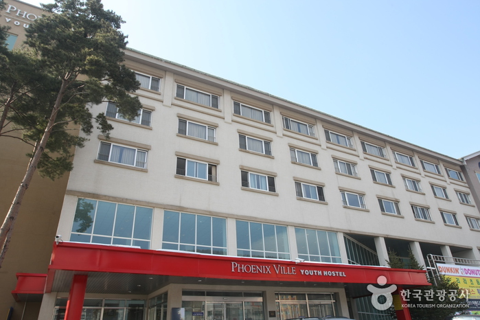 Phoenix Pyeongchang Youth Hostel (휘닉스평창 유스호스텔)