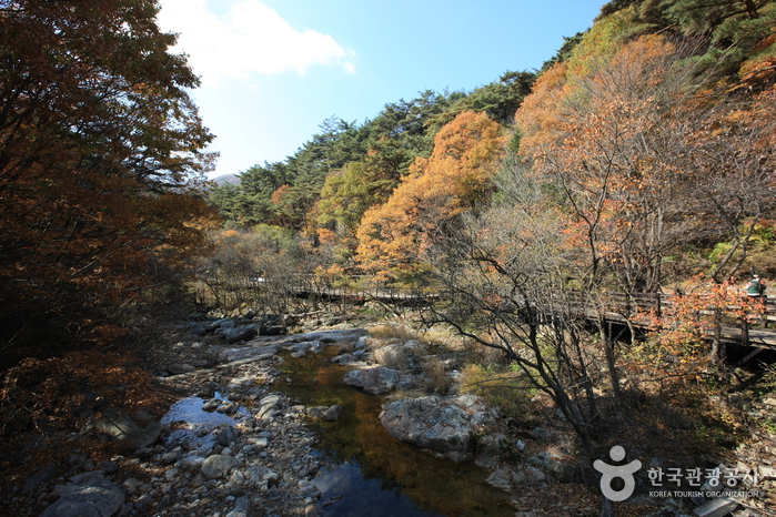 Parc National du Mt. Chiaksan (치악산국립공원)