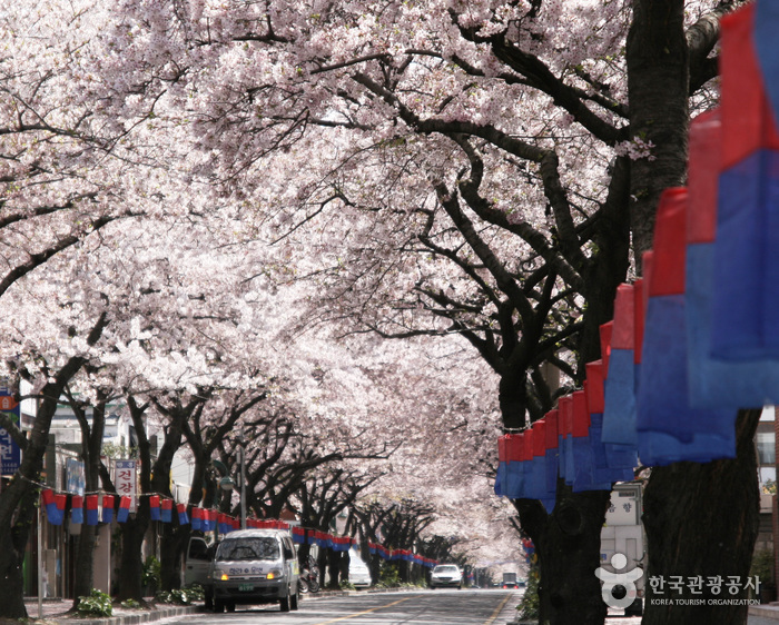 Festival culturel Seosara de Jeju (제주 서사라문화거리축제)