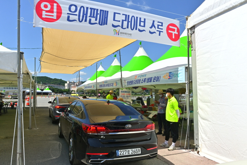 Festival Bonghwa du poisson euneo (봉화은어축제)