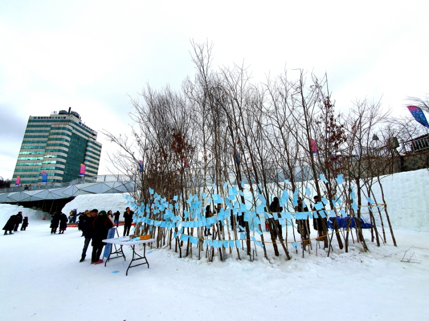 Festival de la Neige à Daegwallyeong (대관령눈꽃축제)