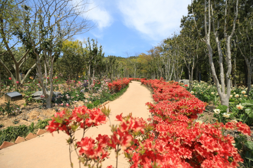 Parc Bonsaï de l'île Cheonsa (천사섬  분재공원)