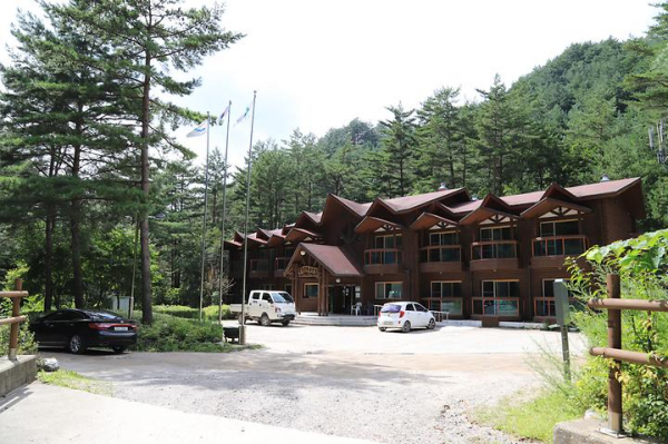 태백산 고원자연휴양림 야영장