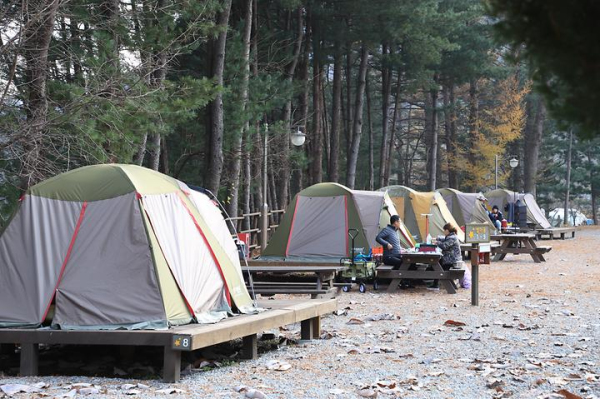횡성 별빛마을 캠핑장