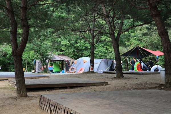 검산별빛캠핑장