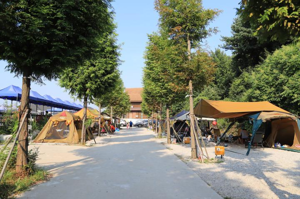 강화도산들애농원캠핑수영장 