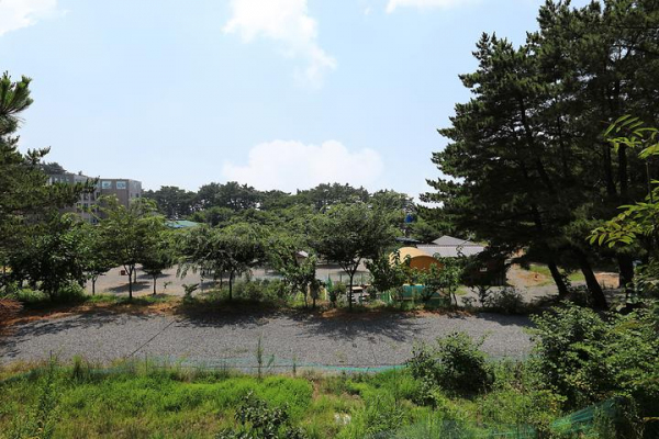 굼벵이캠핑농원 