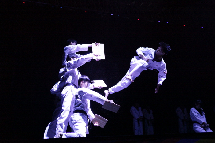 Kukkiwon Taekwondo-Performance 