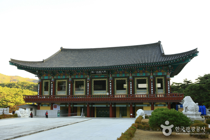 Donghwasa Templestay (동화사 템플스테이) Donghwasa Templestay (동화사 템플스테이)