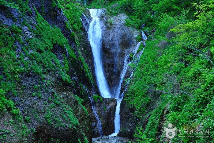 Wasserfall Bongnaepokpo (봉래폭포 (울릉도, 독도 국가지질공원))