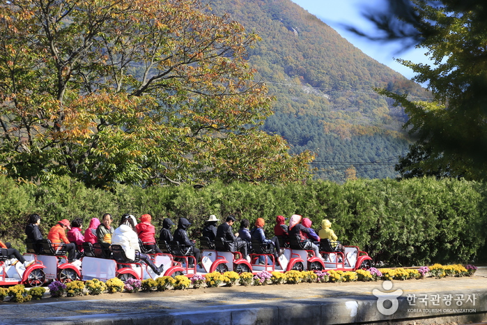 Gangchon Rail Park (Gimjuyeong Railbike) (강촌레일파크 (김유정레일바이크))