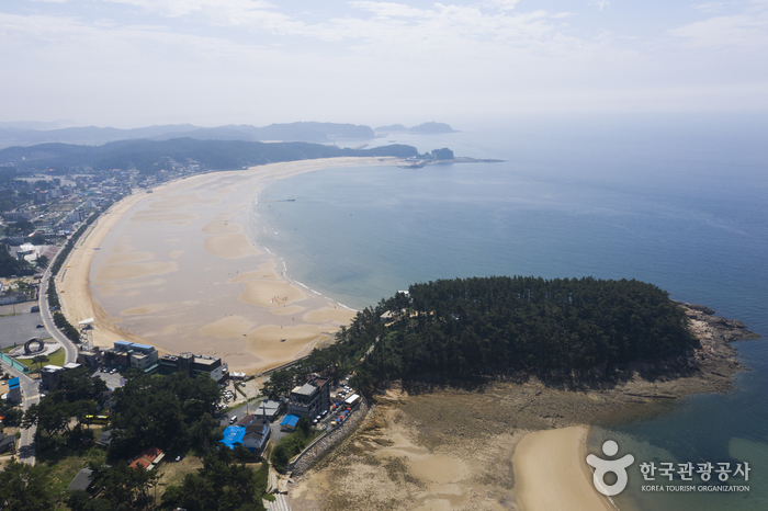 Strand Mallipo (만리포해수욕장)