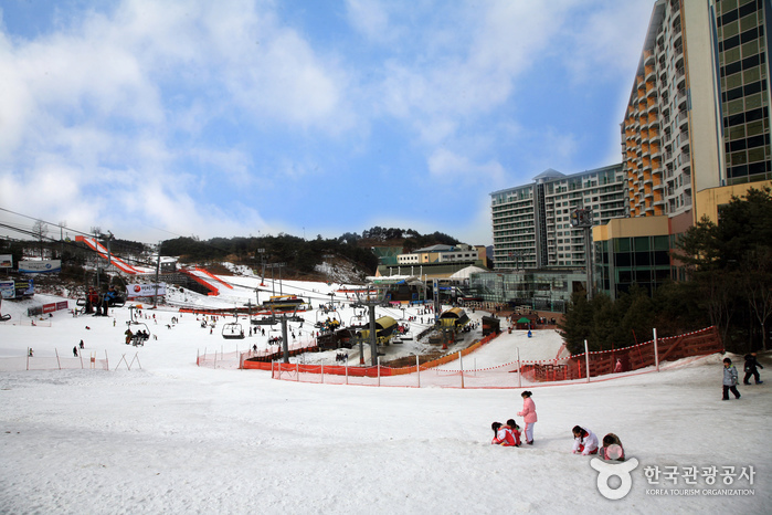 Welli Hilli Park Snow Park (웰리힐리파크 스노우파크)