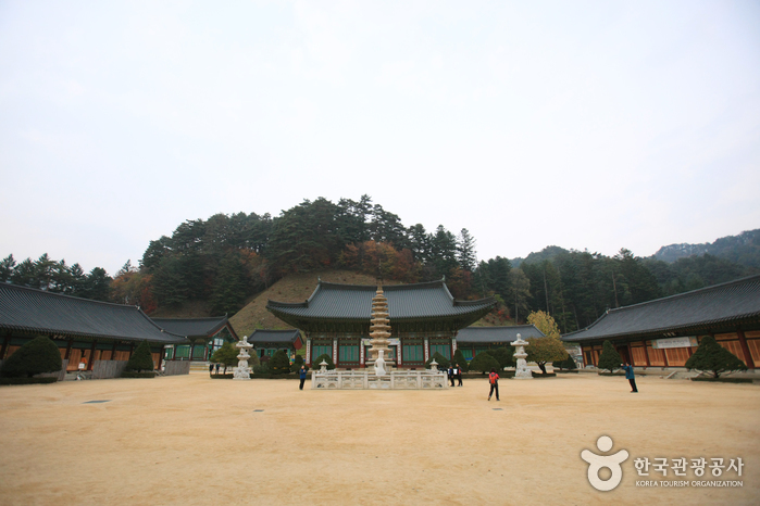 Woljeongsa Templestay (월정사 템플스테이)