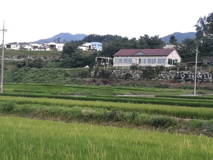Ochaeyeon (오채연)