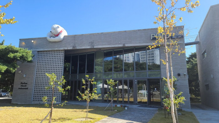 PINO (피노) PINO (피노)