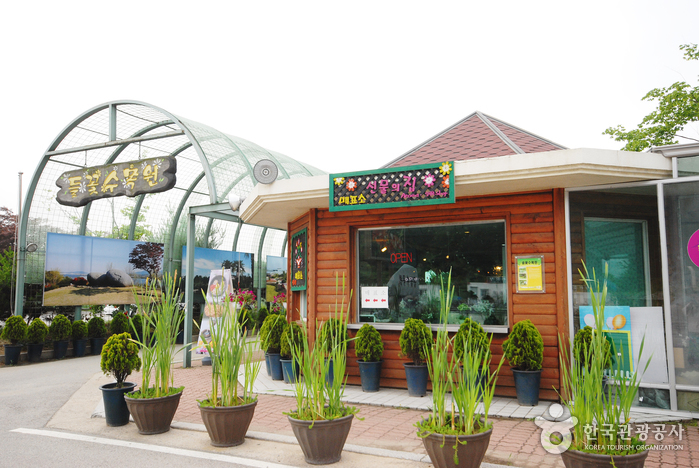 Wildblumenarboretum Yangpyeong (양평 들꽃수목원)