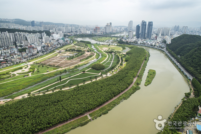 Fluss Taehwagang (태화강)